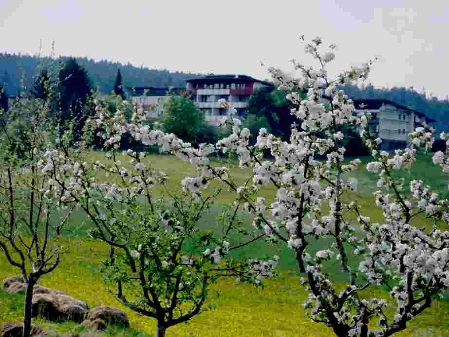 Resorthotel Park-Hill Loßburg Buitenkant foto